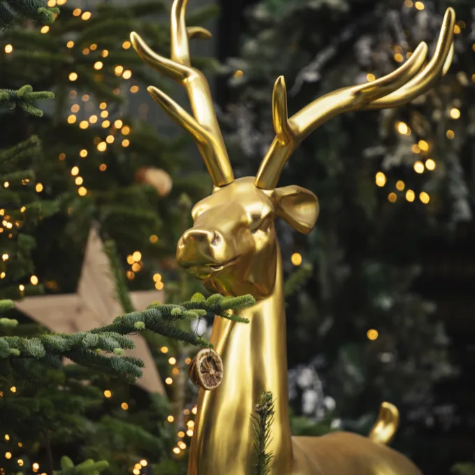 Eat, Drink and be Bonnie!